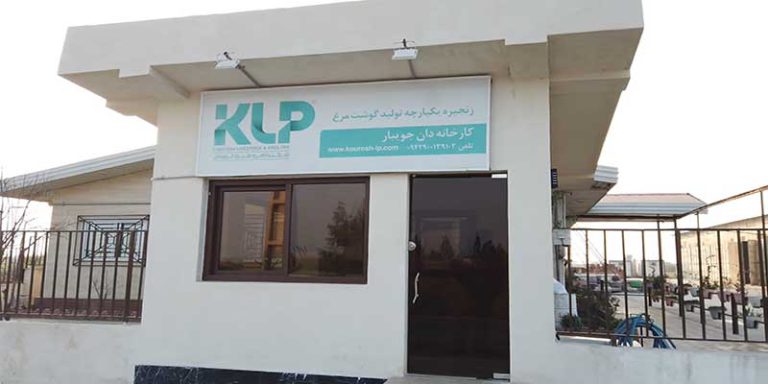 karkhaneh-dan-jooybar-dam-o-toyor-kourosh
